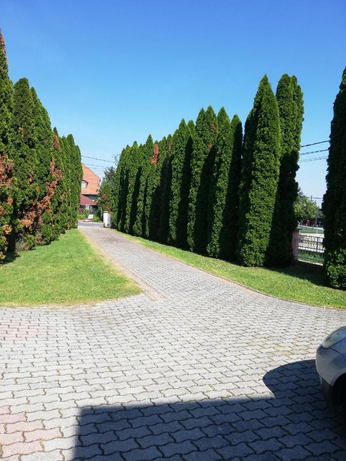 佐洛卡罗斯Berkenye Apartman公寓 外观 照片